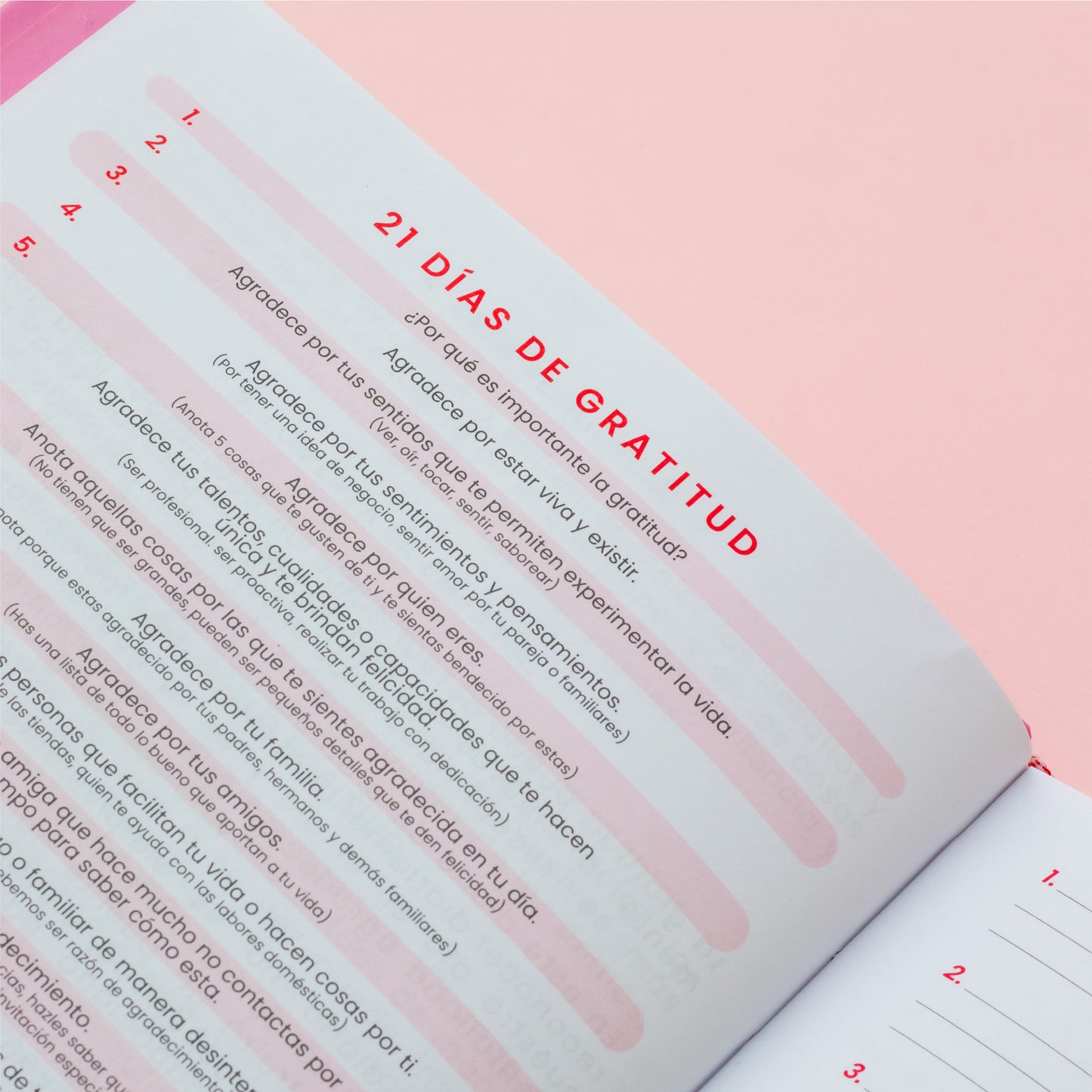 Diario De Gratitud 💗