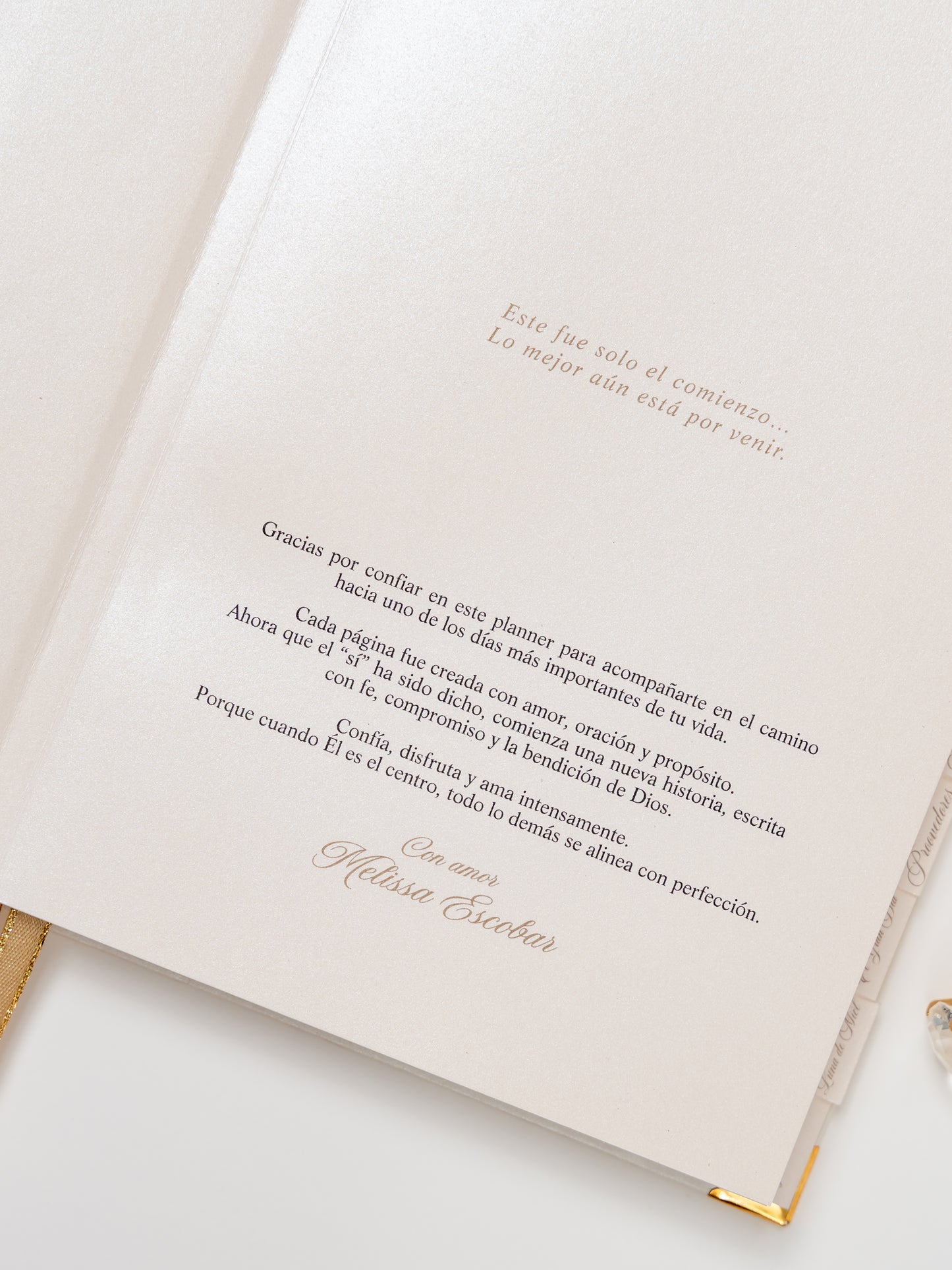 Wedding Planner - PREVENTA