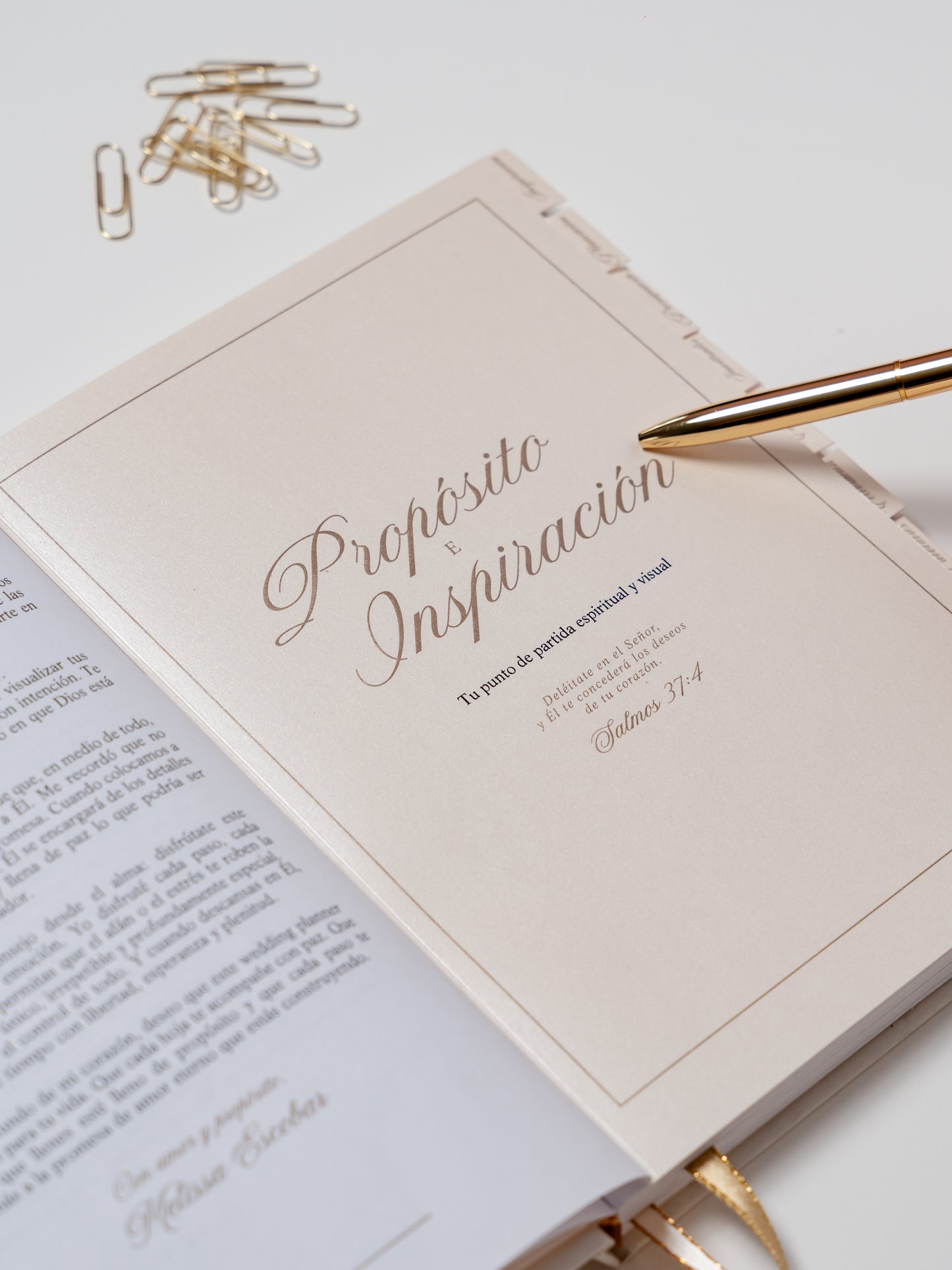 Wedding Planner - PREVENTA