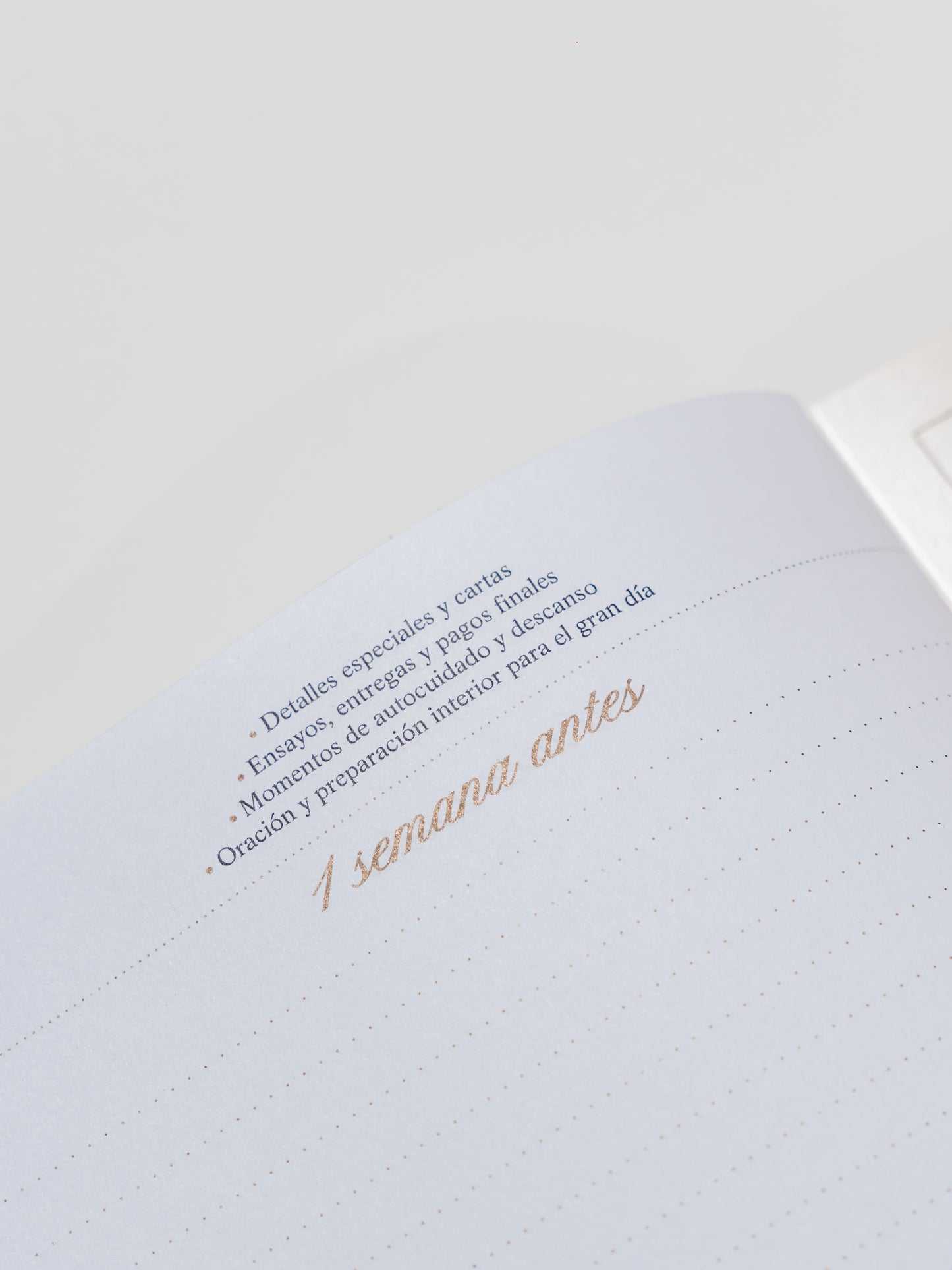 Wedding Planner - PREVENTA