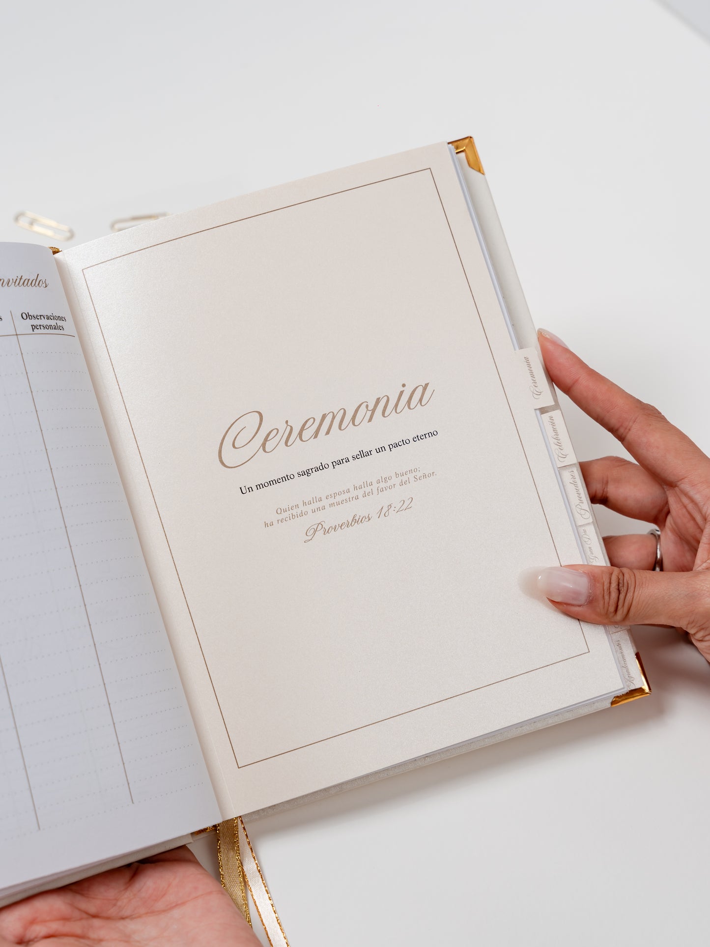 Wedding Planner - PREVENTA