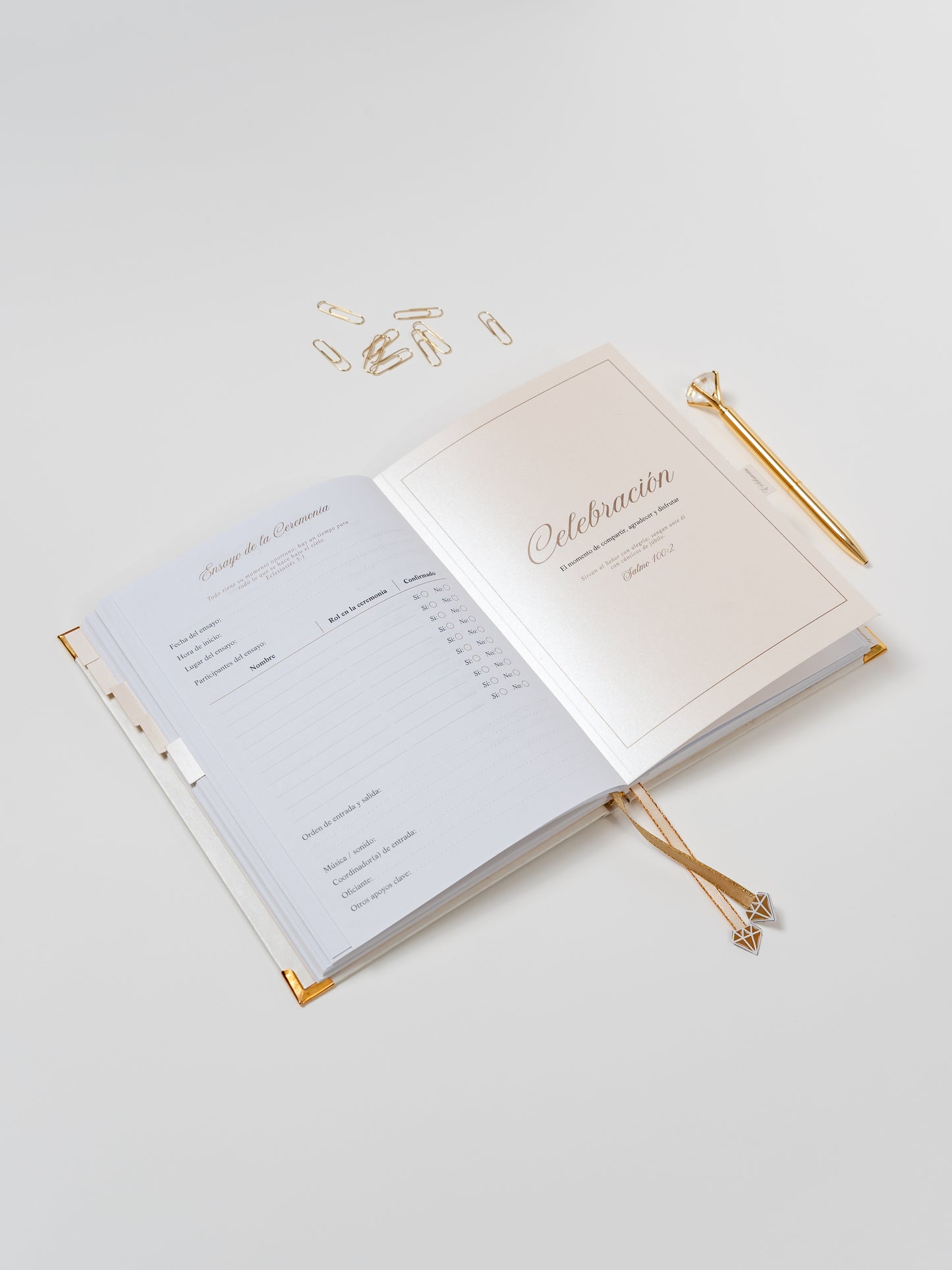 Wedding Planner - PREVENTA