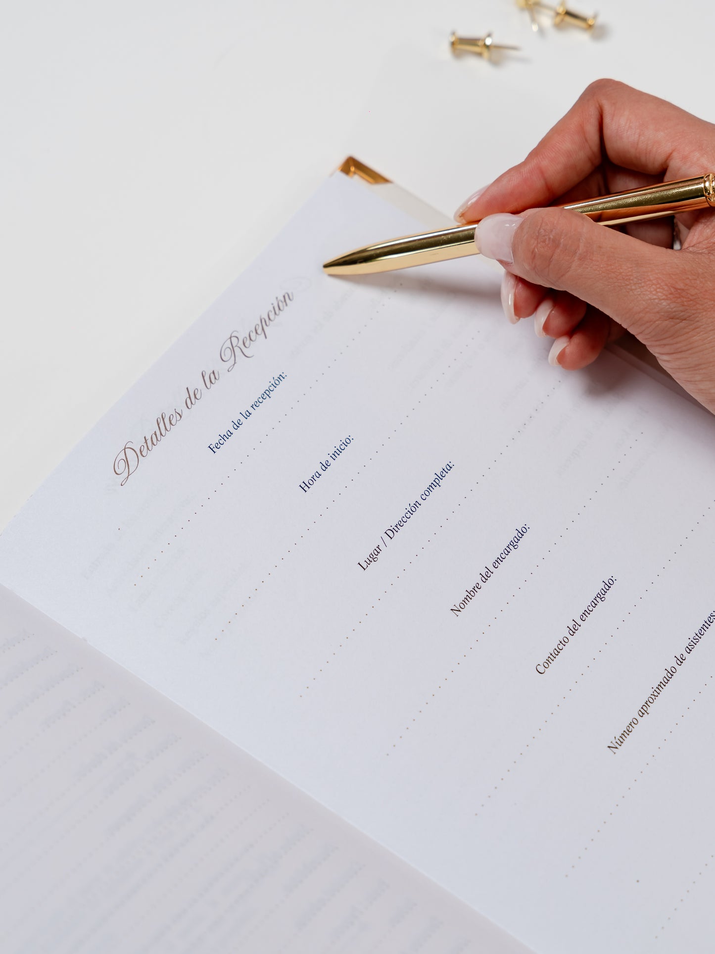 Wedding Planner - PREVENTA
