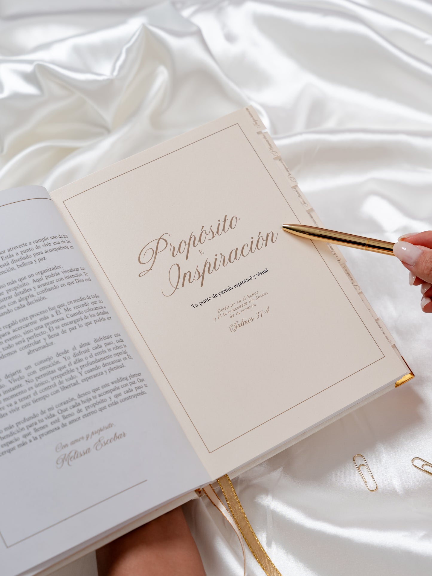 Wedding Planner - PREVENTA