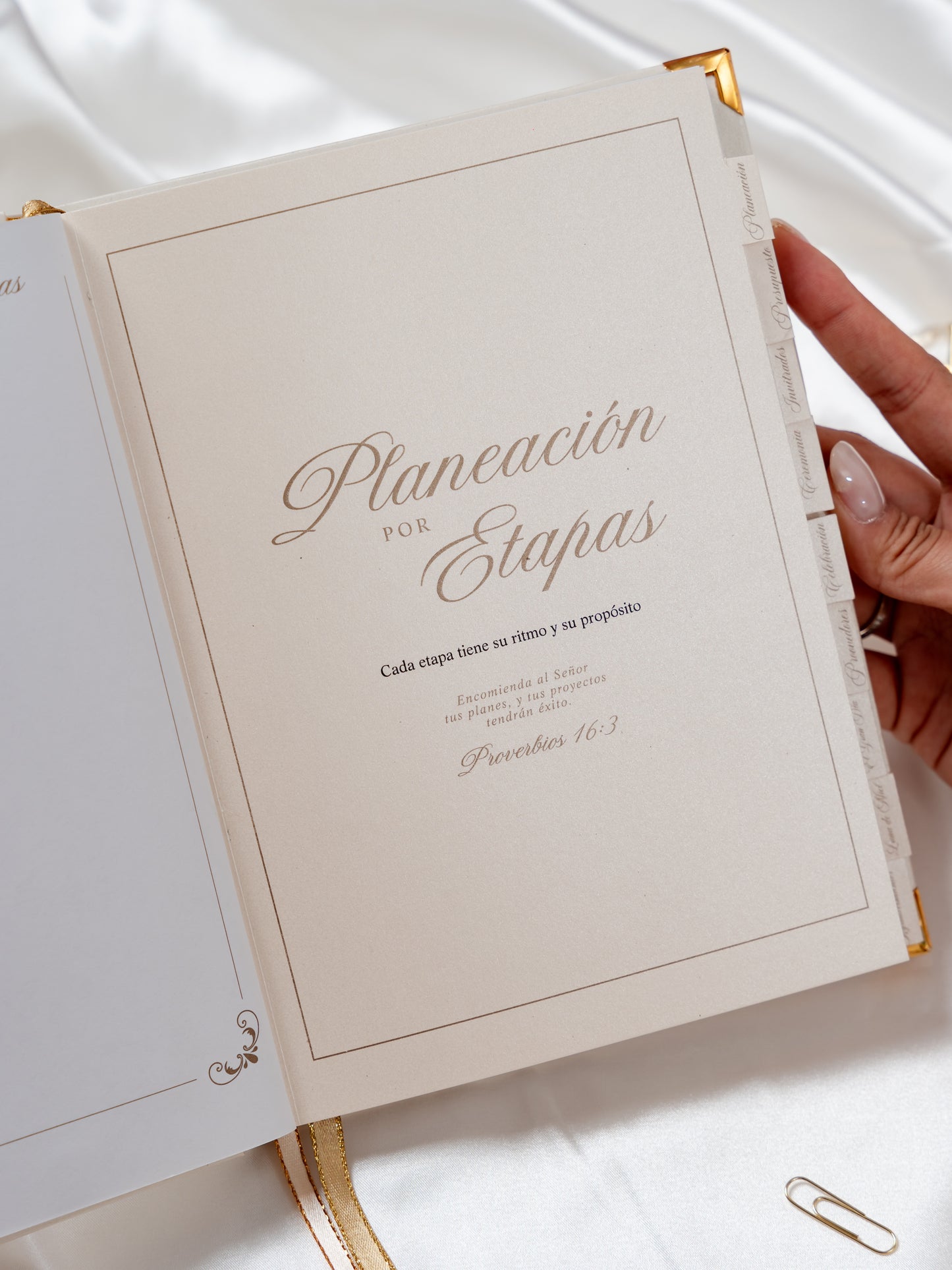 Wedding Planner - PREVENTA