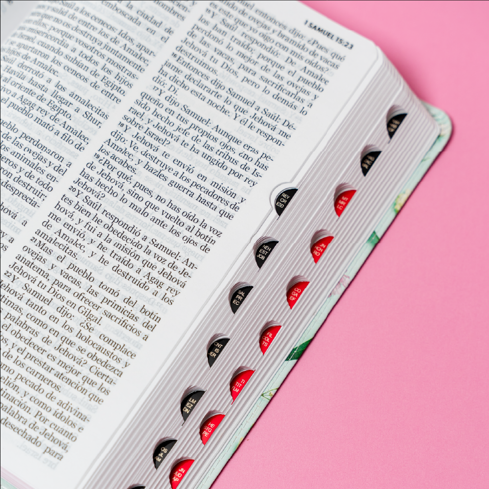 SANTA BIBLIA LETRA GRANDE