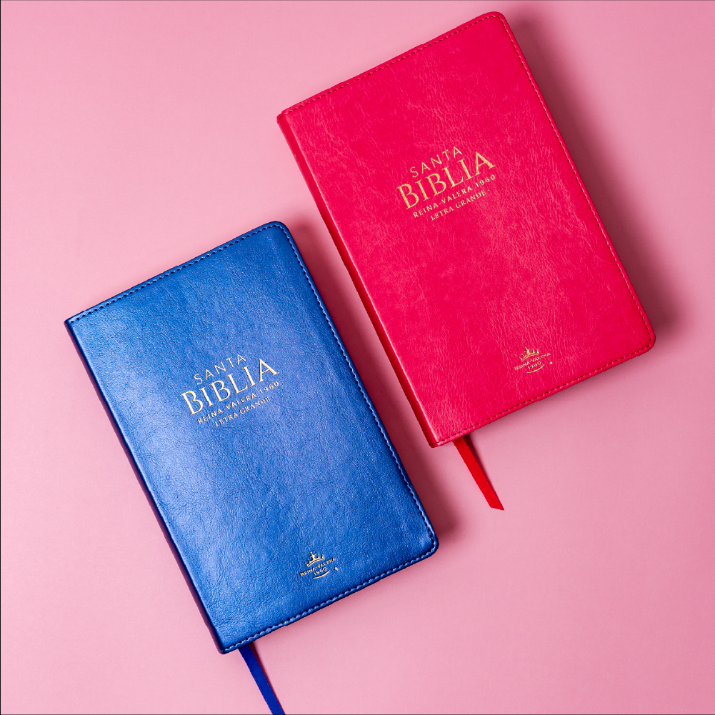 BIBLIA REINA VALERA