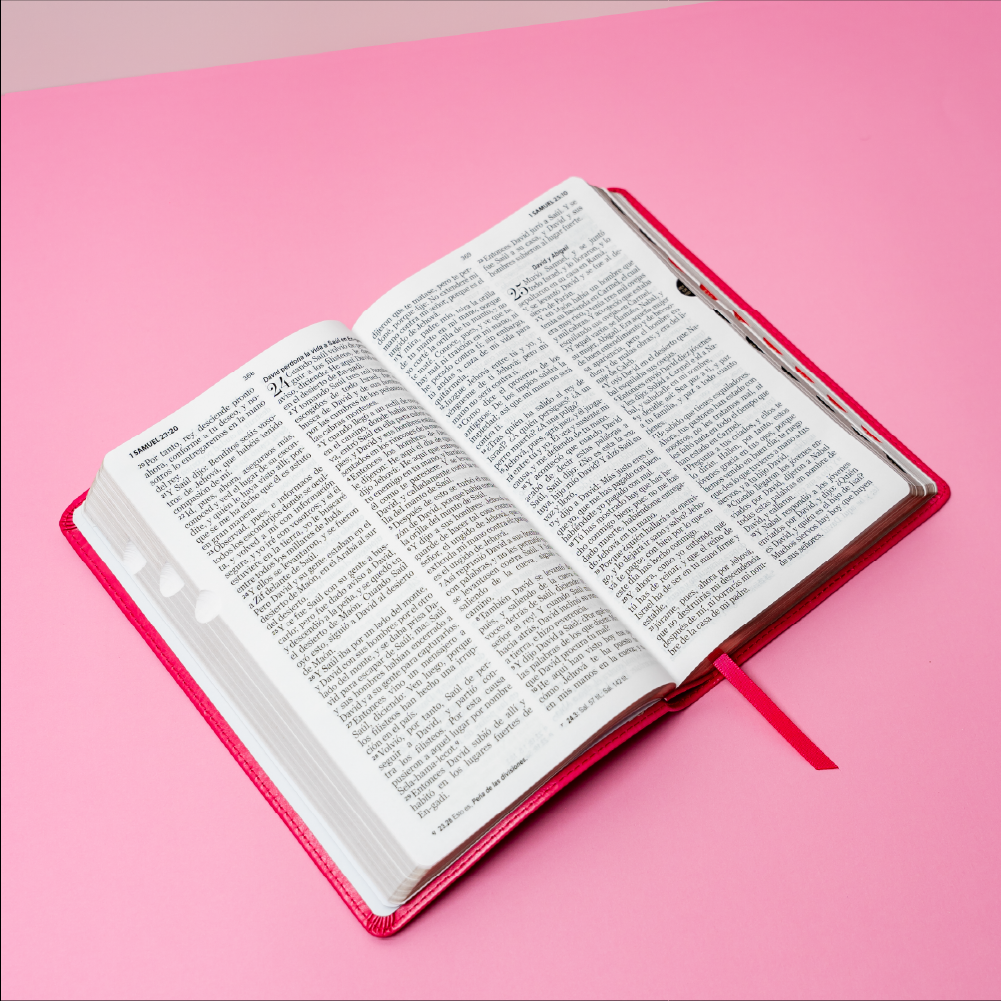 BIBLIA REINA VALERA
