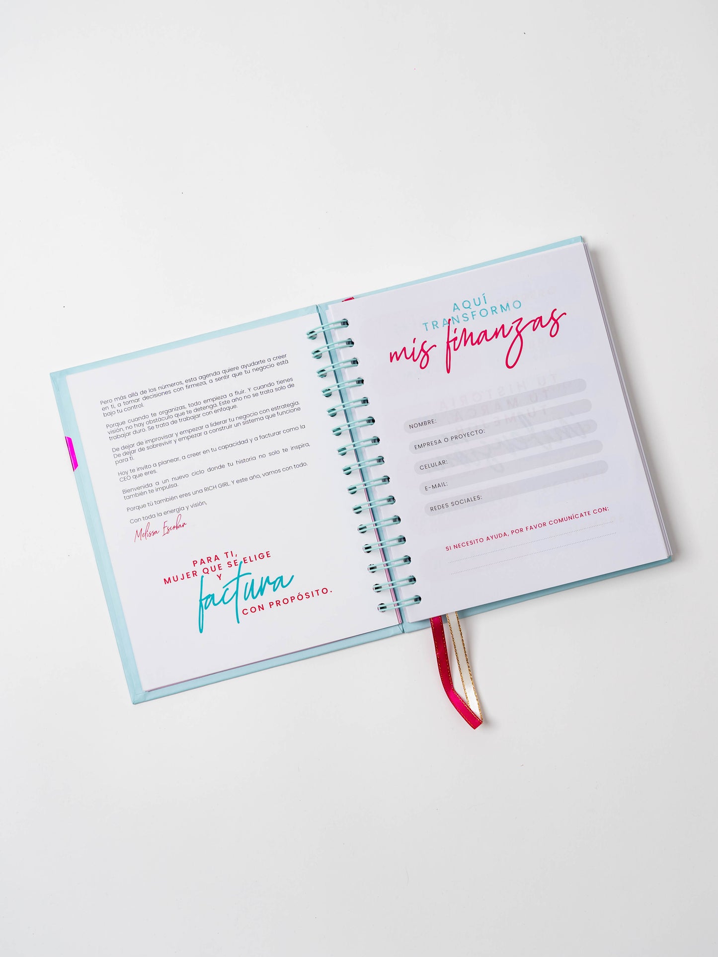 Nueva Colección- Agenda Mi Diario Financiero 2026-2027