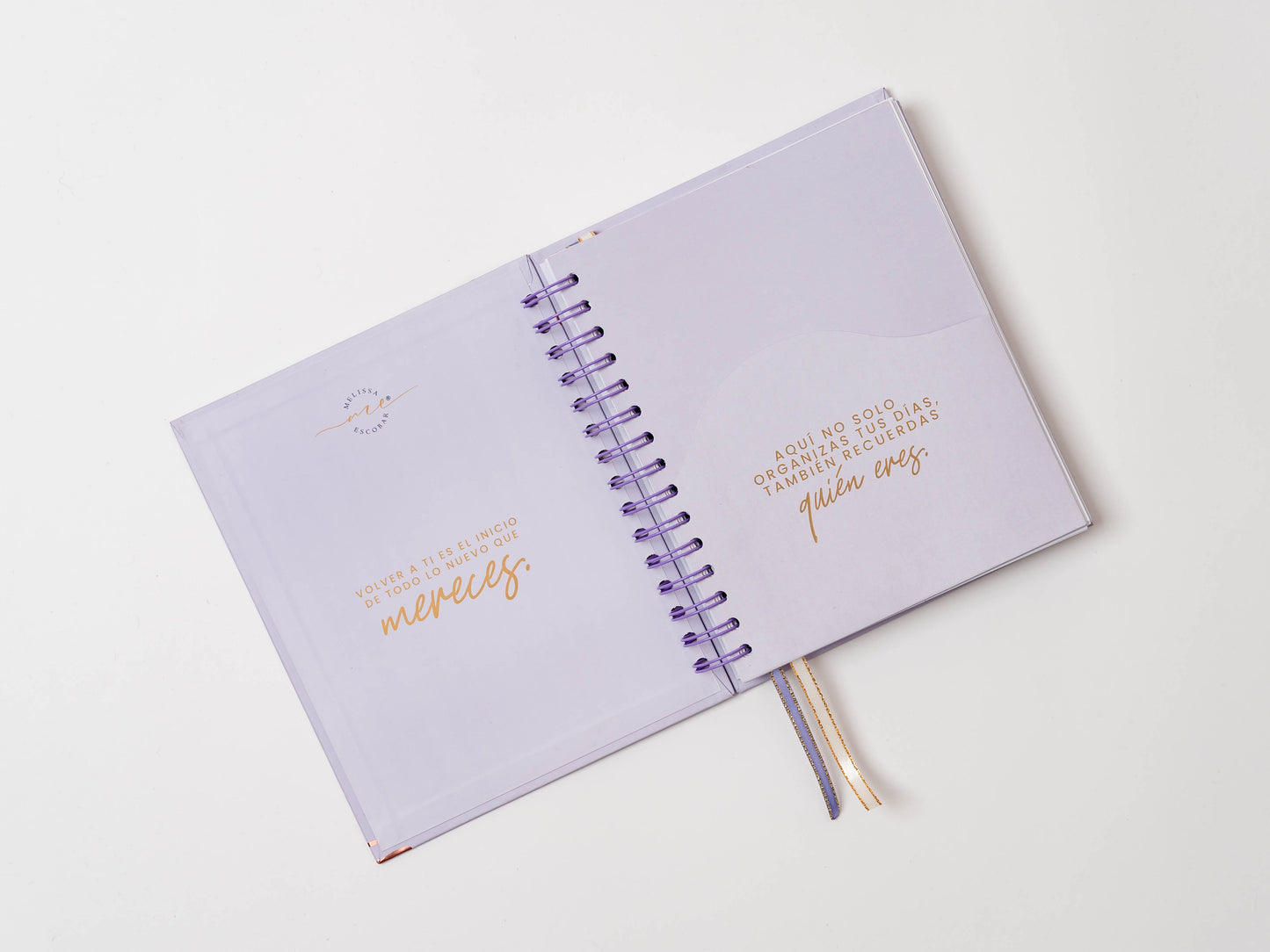 Nueva Coleccion - Mi Diario Planner 2026 - 2027