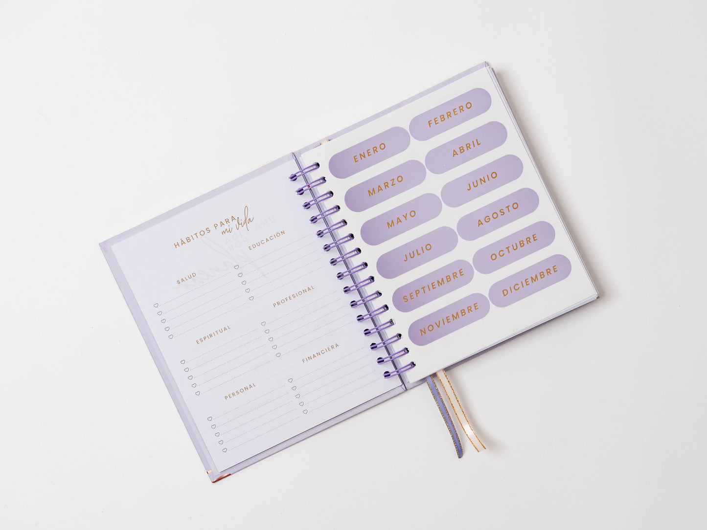 Nueva Coleccion - Mi Diario Planner 2026 - 2027