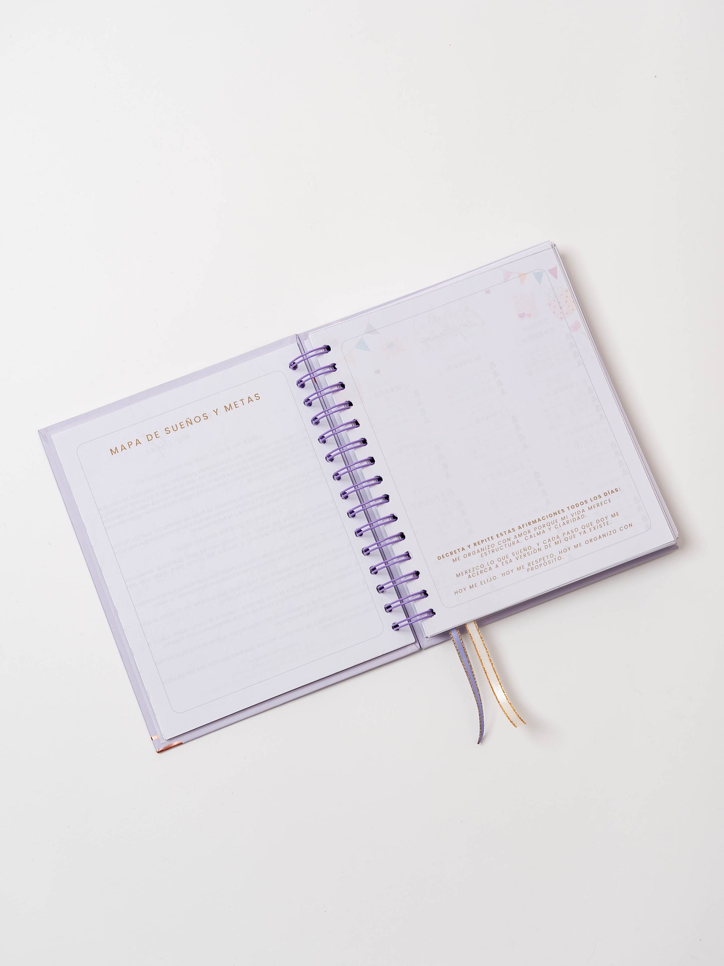 Nueva Coleccion - Mi Diario Planner 2026 - 2027