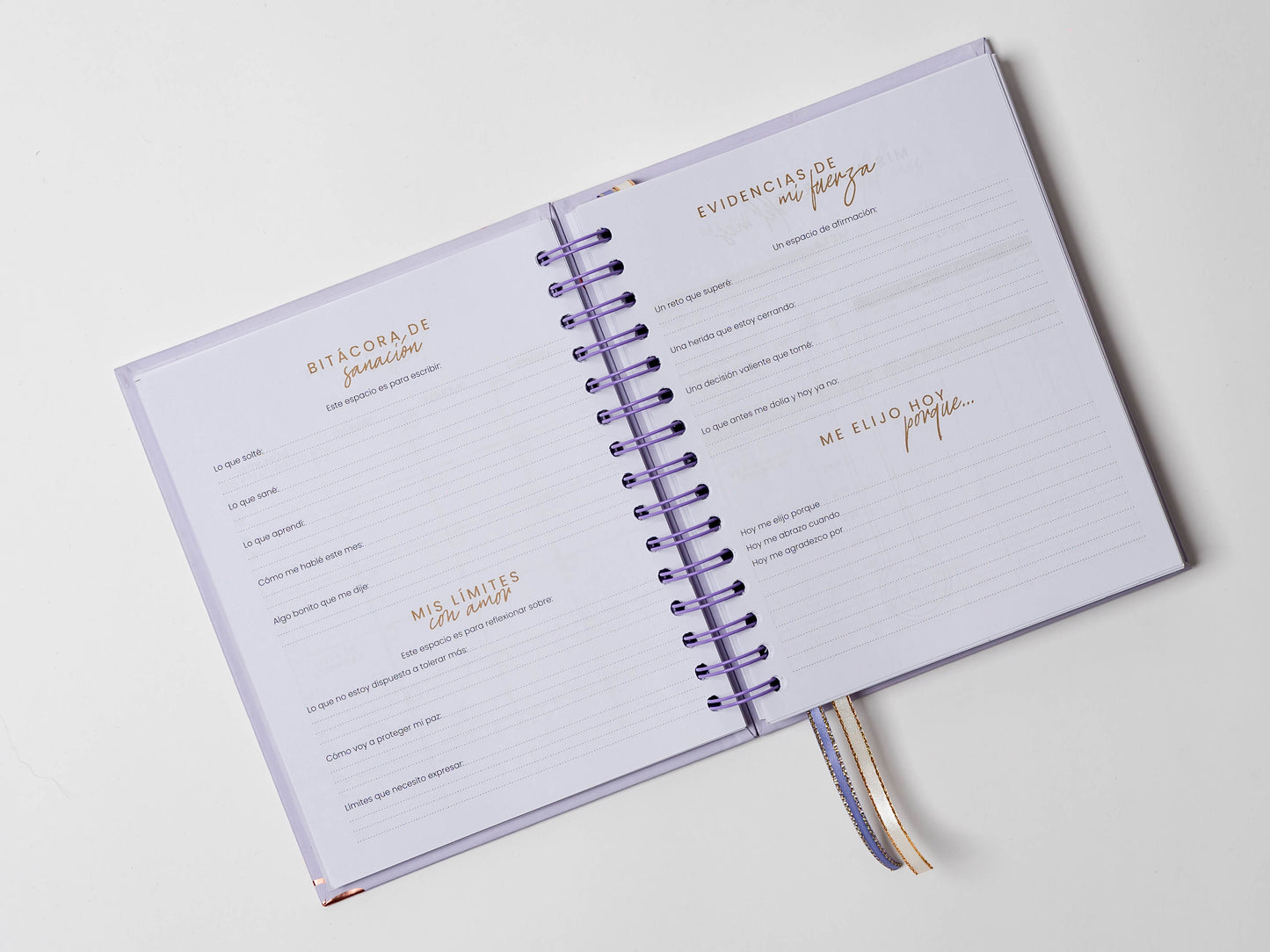 Nueva Coleccion - Mi Diario Planner 2026 - 2027