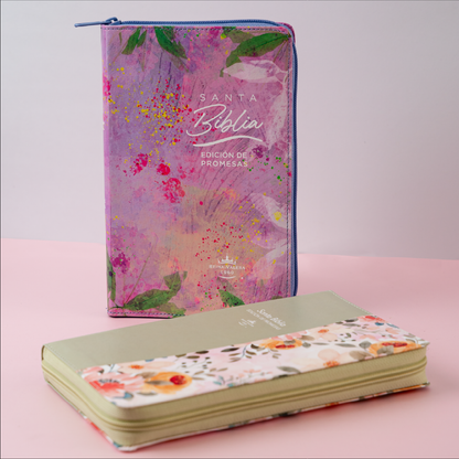 SANTA BIBLIA: EDICIÓN DE PROMESAS