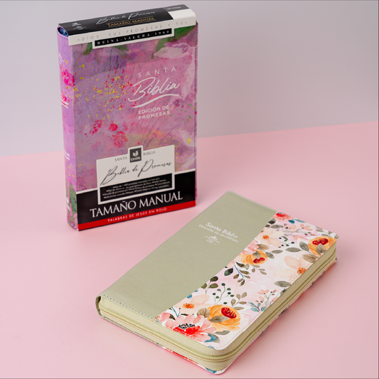 SANTA BIBLIA: EDICIÓN DE PROMESAS
