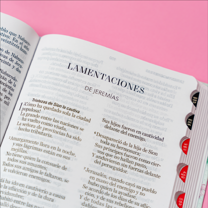 SANTA BIBLIA LETRA GRANDE
