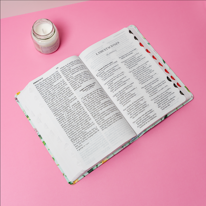 SANTA BIBLIA LETRA GRANDE