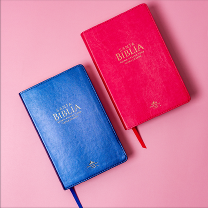 BIBLIA REINA VALERA