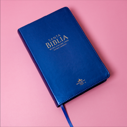 BIBLIA REINA VALERA