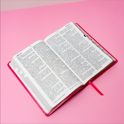 BIBLIA REINA VALERA