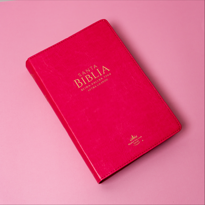 BIBLIA REINA VALERA